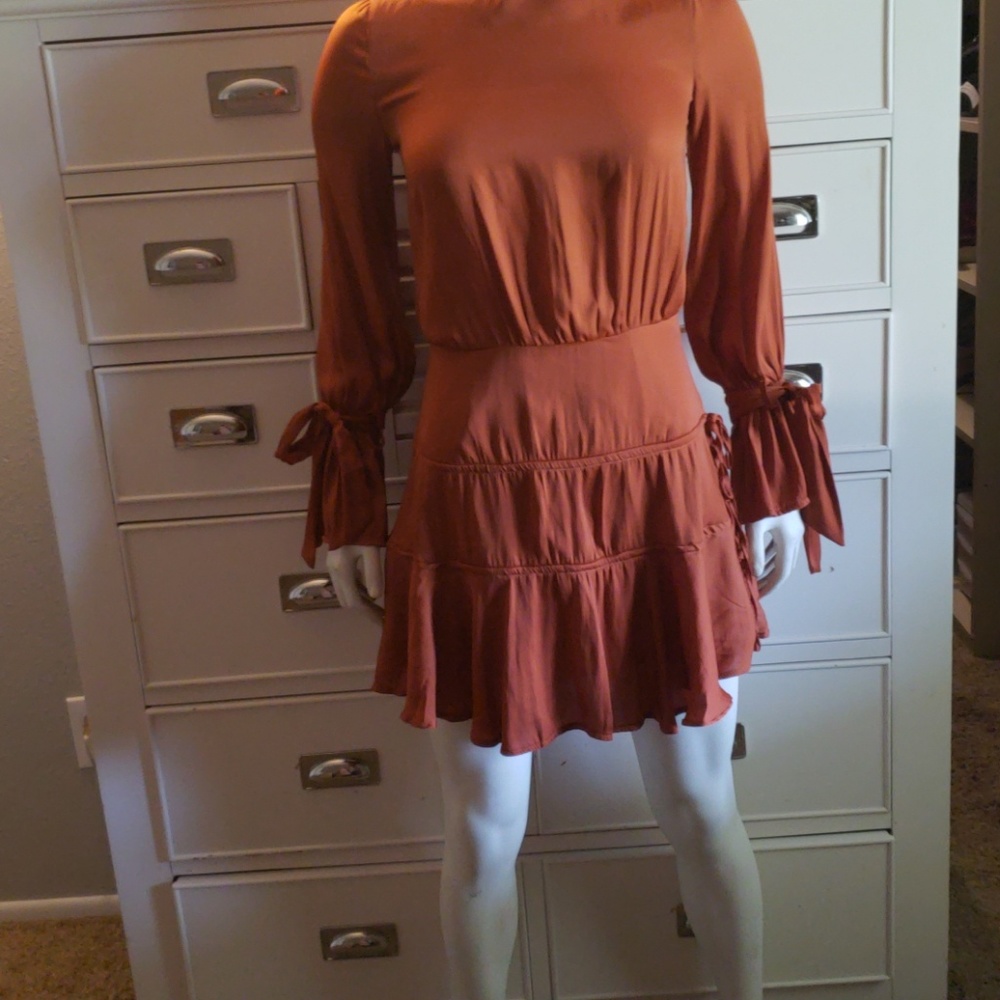 Rust colored fall dress.